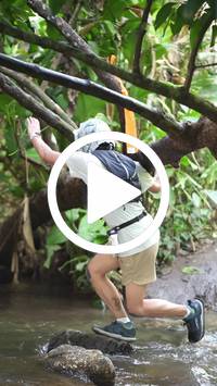 BIB:  <button type="button" onclick="openModal(27541621)" class="btn btn-primary btn-sm float-right" data-toggle="modal" data-target=".modal-high-quality">
                <i class="fa fa-download"></i> Download
                </button>